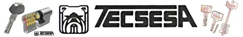 tecsesa-cerradura-cerrajeros